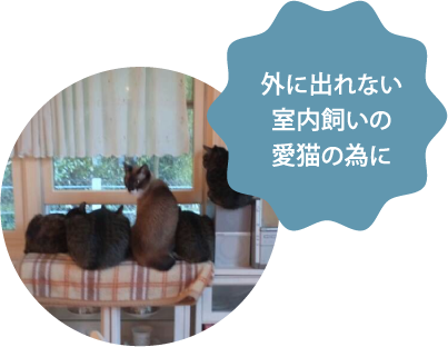 外に出れない室内外の愛猫の為に